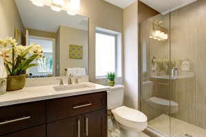 Nice bathroom with glass shower and small plants as decor.